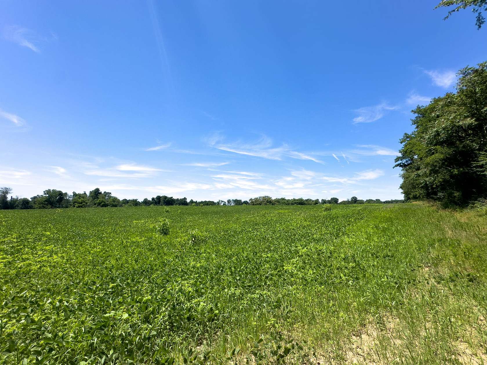 18.8 Acres of Recreational Land for Sale in Hopewell, Ohio