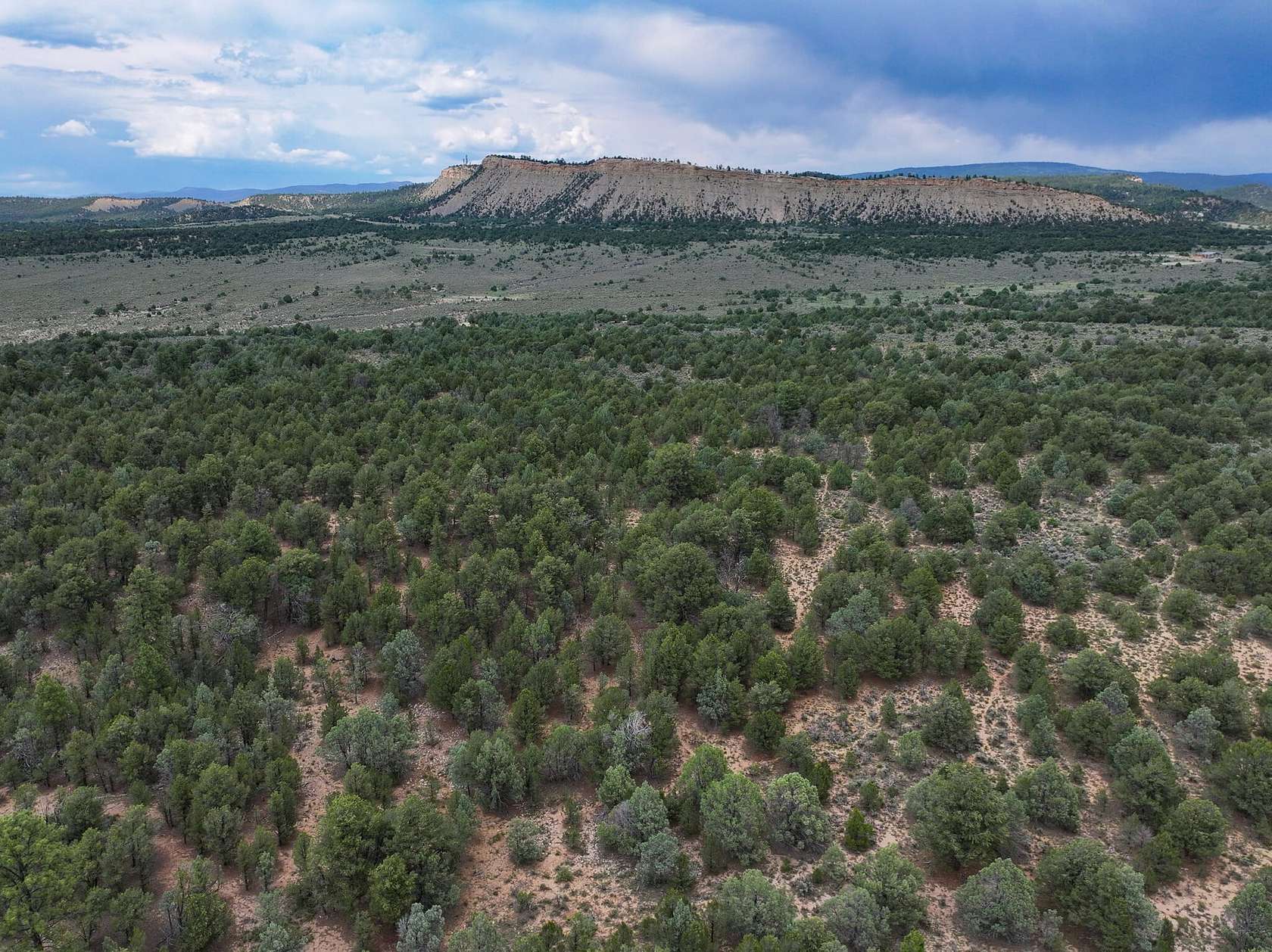 2,171 Acres of Land for Sale in Tierra Amarilla, New Mexico