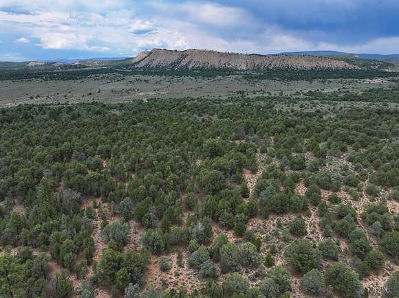 2,171 Acres of Land for Sale in Tierra Amarilla, New Mexico