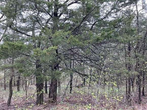 1.05 Acres of Residential Land for Sale in Holiday Island, Arkansas