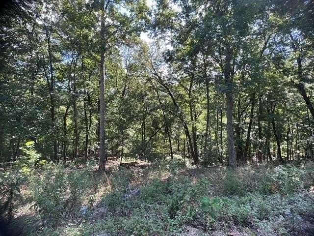 0.283 Acres of Residential Land for Sale in Holiday Island, Arkansas