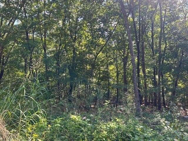 0.293 Acres of Residential Land for Sale in Holiday Island, Arkansas