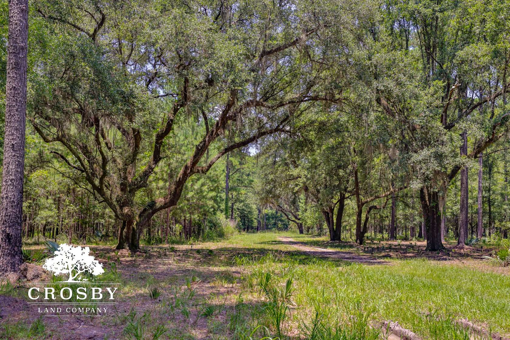 547 Acres of Recreational Land & Farm for Sale in Ridgeland, South Carolina