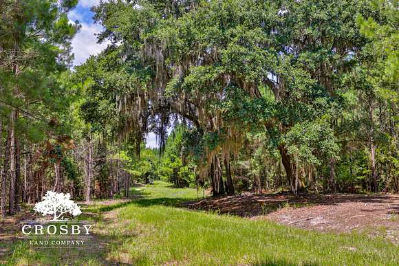 1,057 Acres of Recreational Land & Farm for Sale in Ridgeland, South Carolina