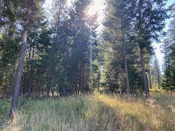 1.31 Acres of Residential Land for Sale in Rathdrum, Idaho