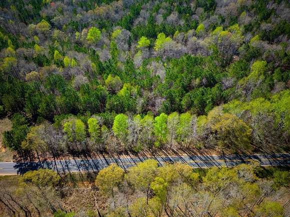 102 Acres of Recreational Land for Sale in Buena Vista, Georgia