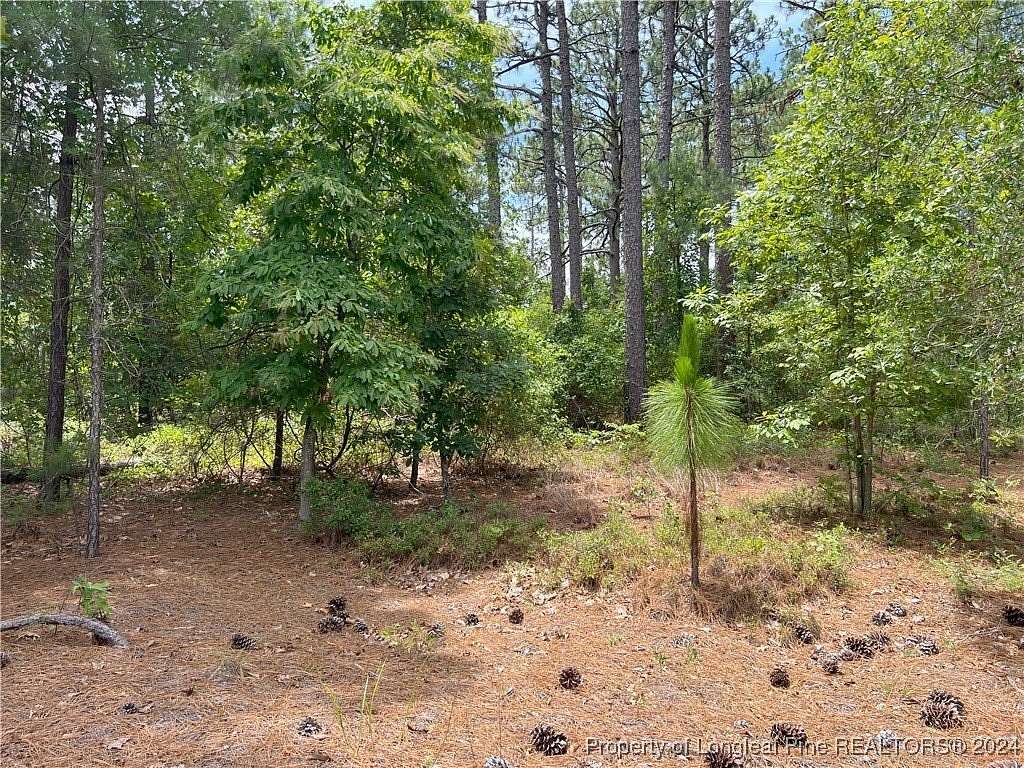 1.25 Acres of Residential Land for Sale in Aberdeen, North Carolina