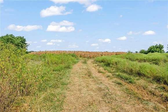 50.53 Acres of Land for Sale in La Monte, Missouri