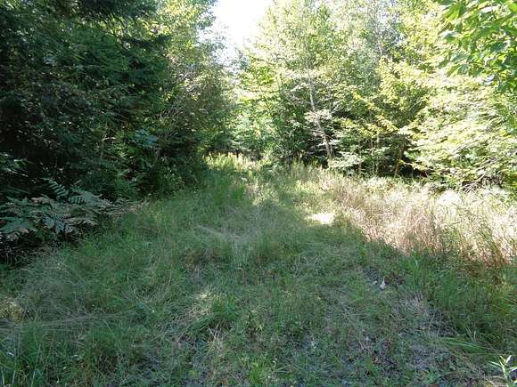 1.9 Acres of Residential Land for Sale in Orland, Maine