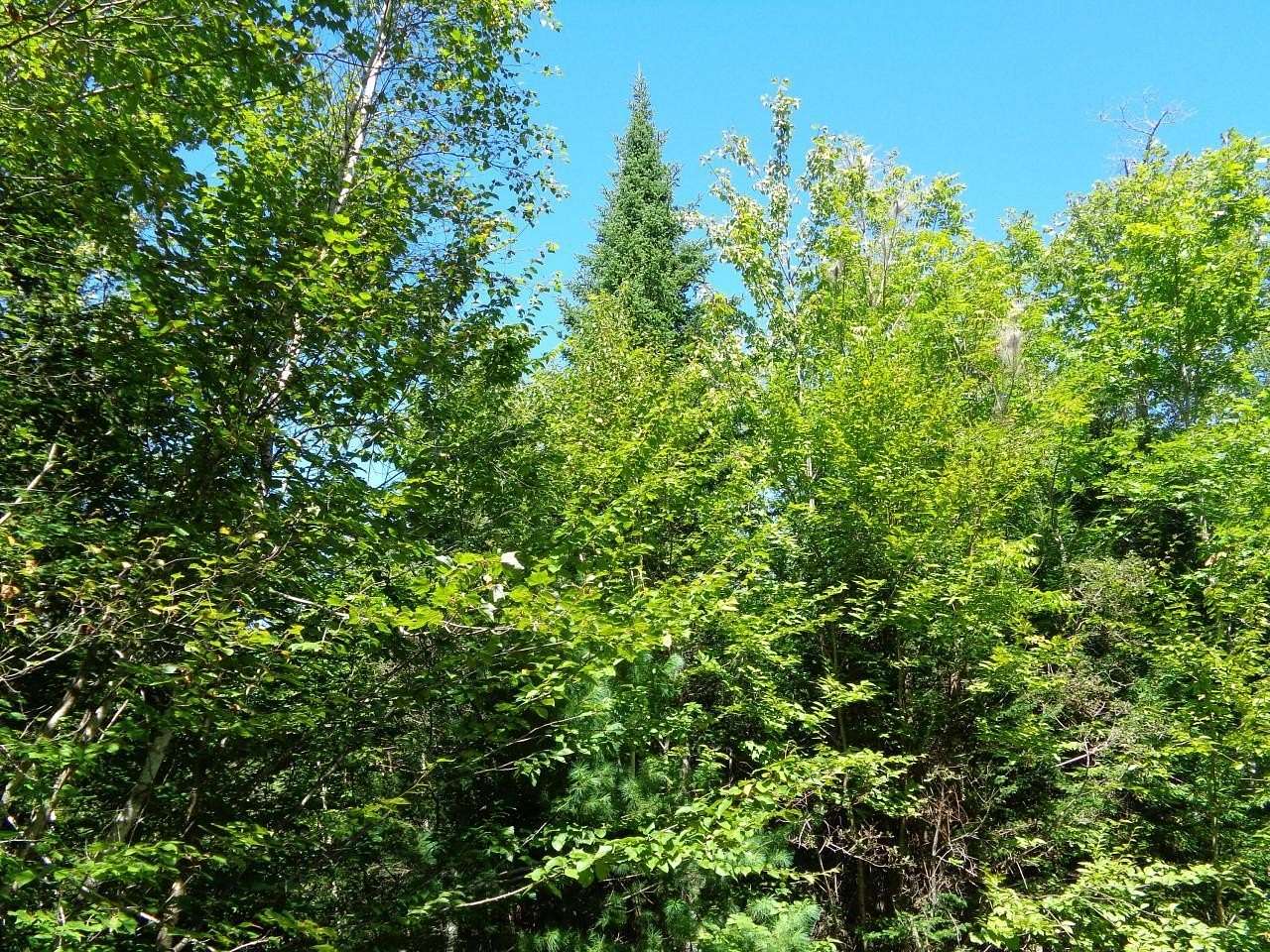 1.89 Acres of Residential Land for Sale in Orland, Maine