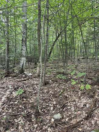 25.7 Acres of Recreational Land for Sale in Vershire, Vermont