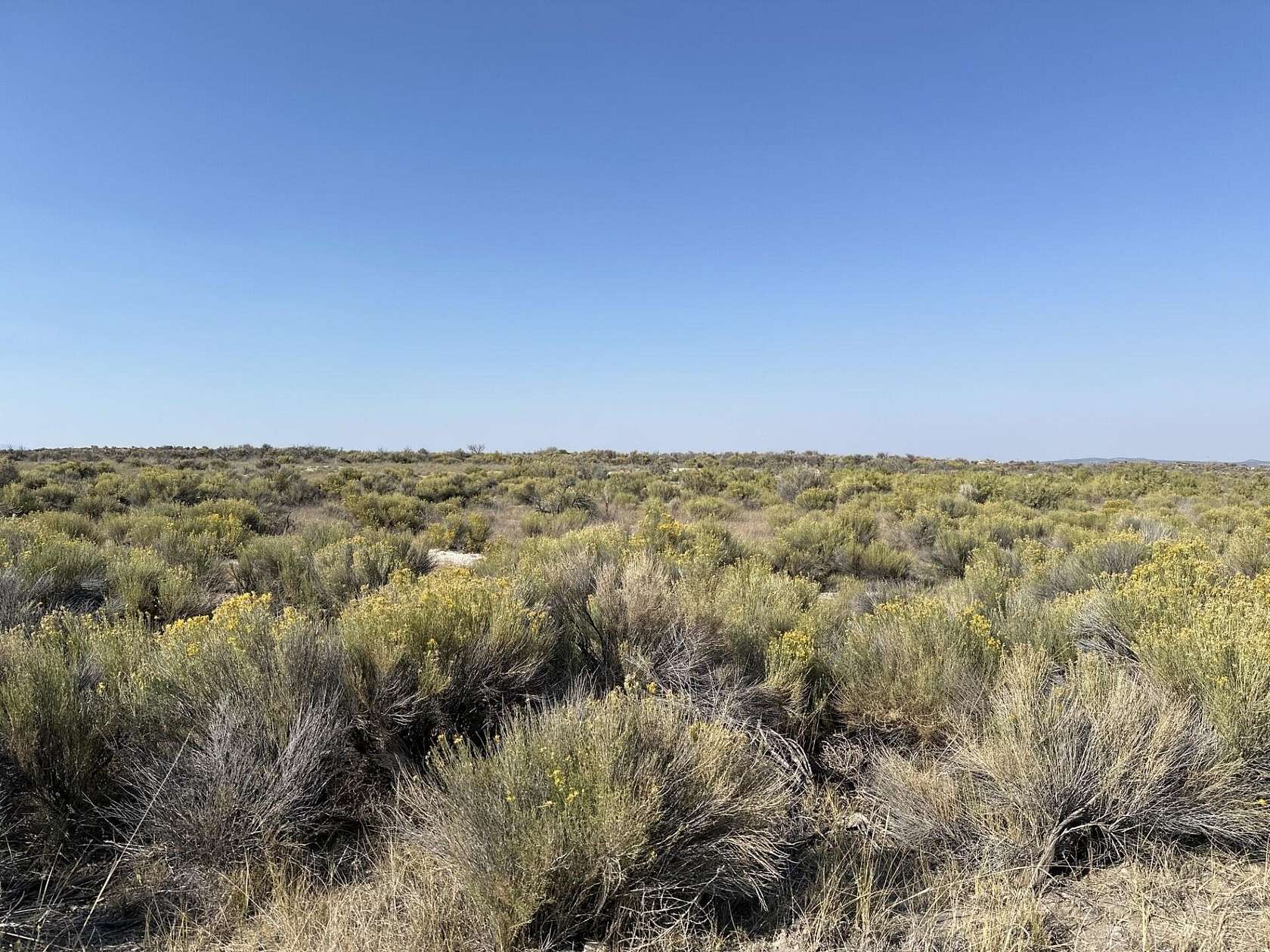 10.03 Acres of Land for Sale in Christmas Valley, Oregon