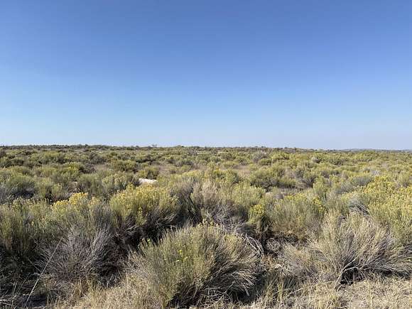 10.03 Acres of Land for Sale in Christmas Valley, Oregon