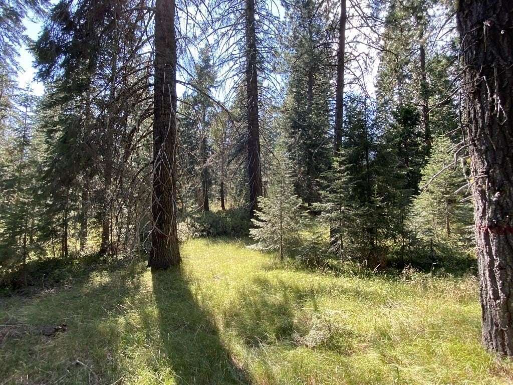 2.5 Acres of Land for Sale in McCloud, California