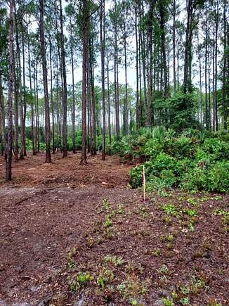 0.22 Acres of Residential Land for Sale in Carrabelle, Florida