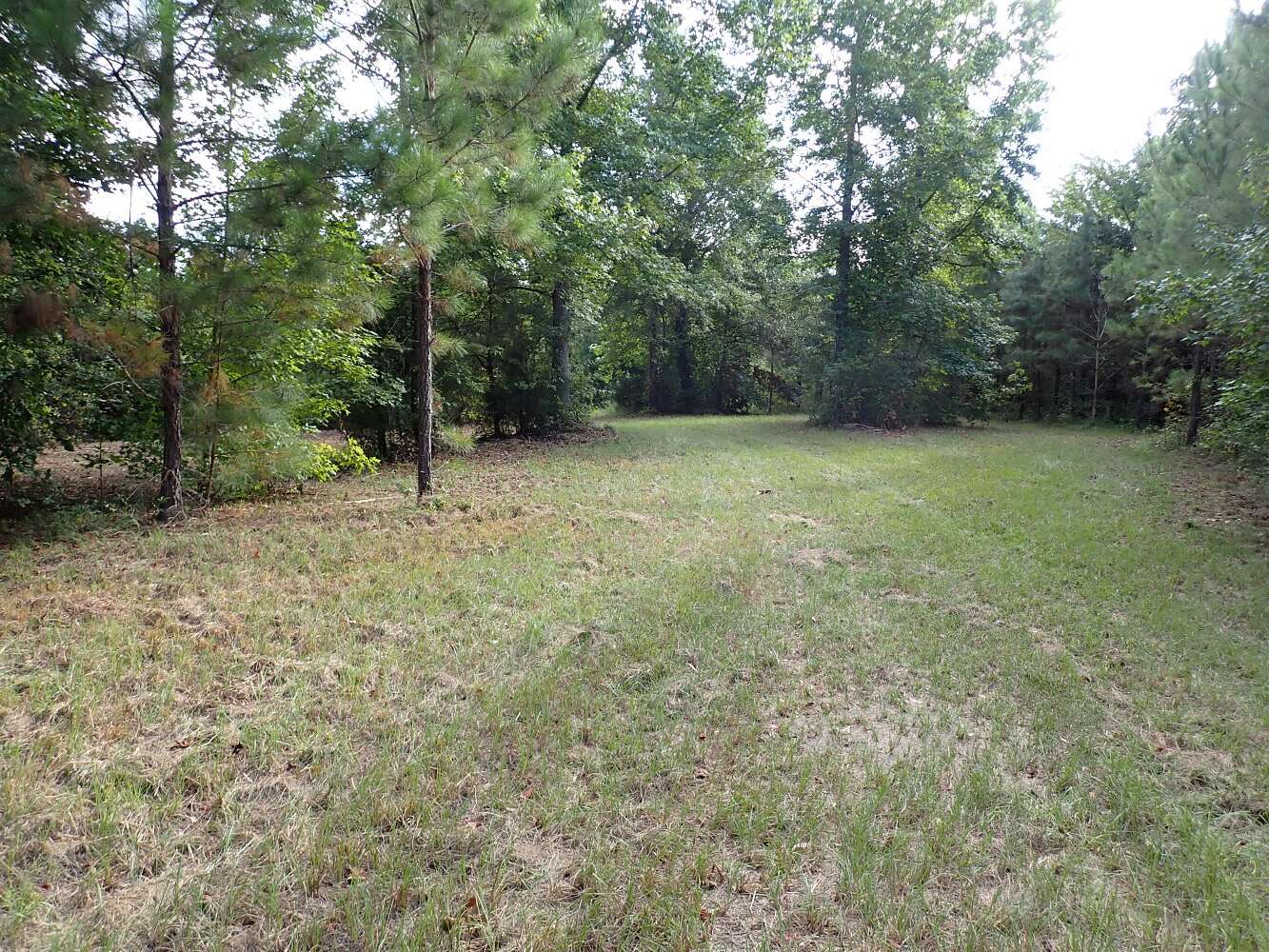 96 Acres of Recreational Land for Sale in Akron, Alabama