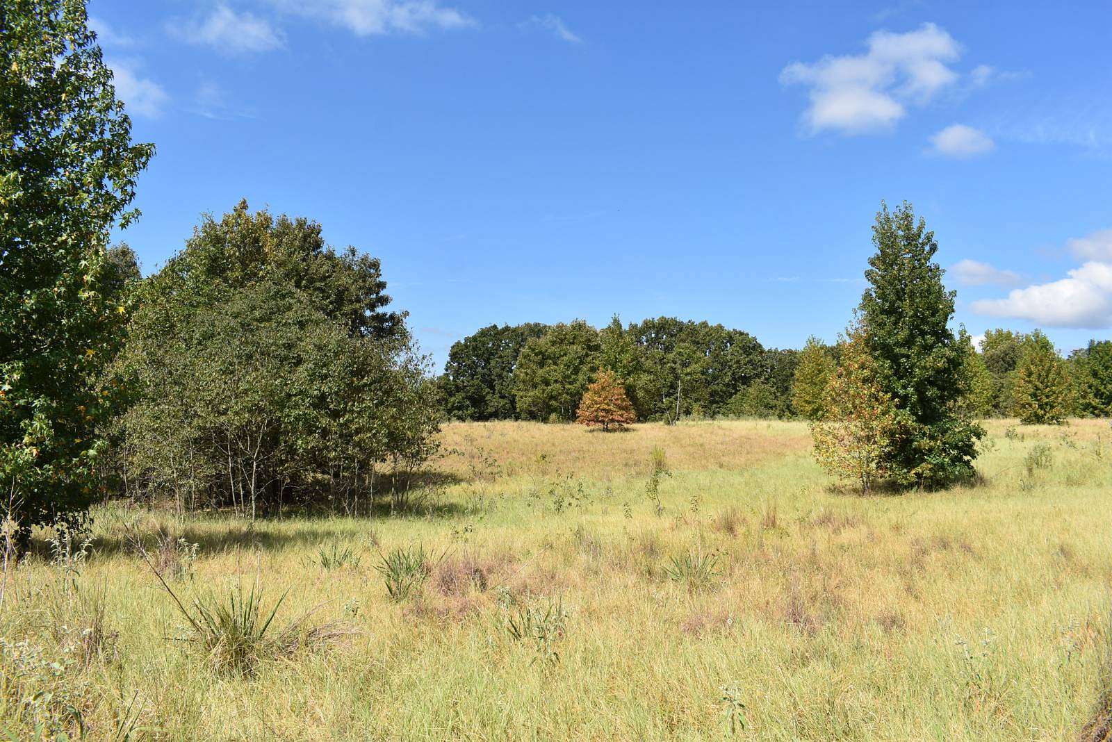 30 Acres of Land for Sale in Sawyer, Oklahoma