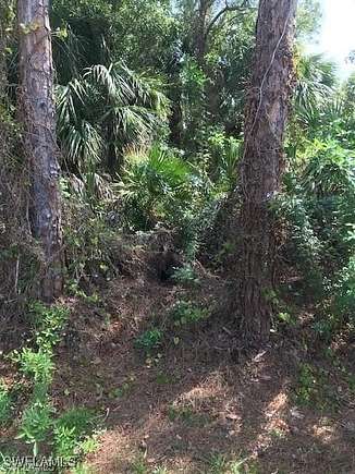 0.36 Acres of Residential Land for Sale in Punta Gorda, Florida