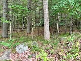 3 Acres of Residential Land for Sale in Limington, Maine