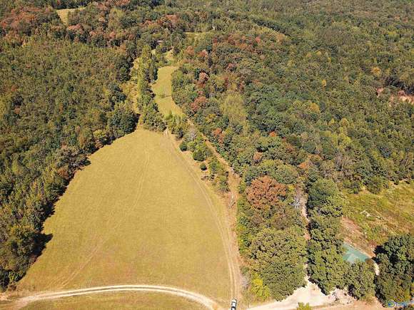 117 Acres of Recreational Land for Sale in Town Creek, Alabama