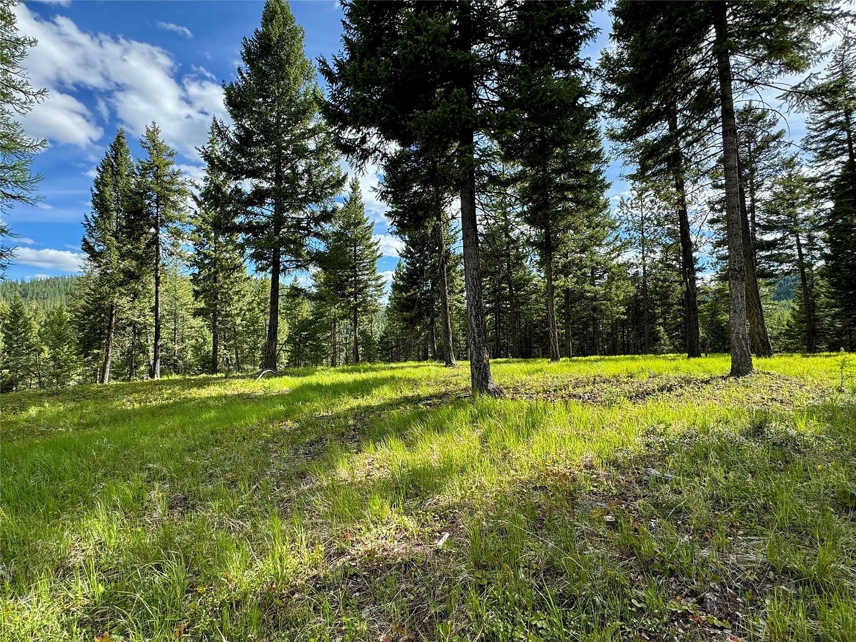 3 Acres of Residential Land for Sale in Kalispell, Montana