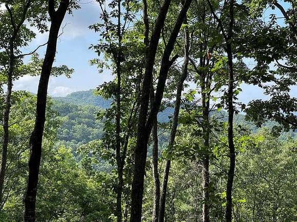 49.8 Acres of Recreational Land for Sale in Hayesville, North Carolina