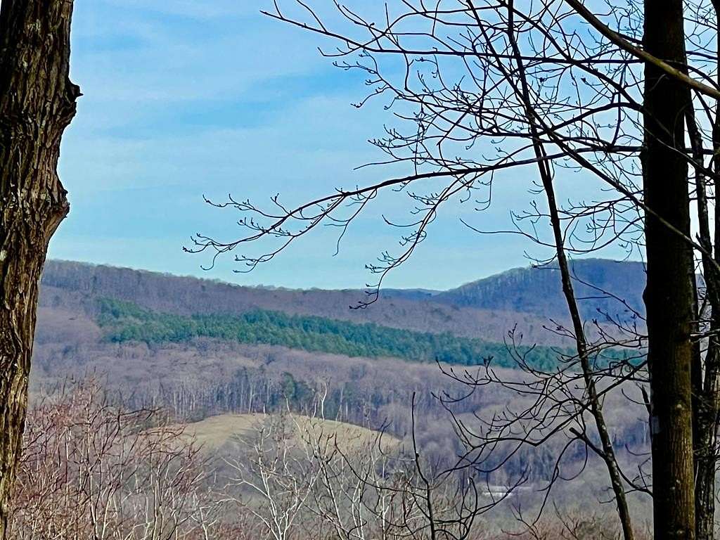 1.7 Acres of Land for Sale in Ellijay, Georgia