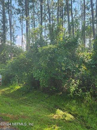 0.31 Acres of Residential Land for Sale in Palm Coast, Florida