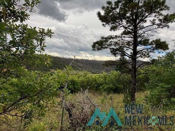 1.12 Acres of Land for Sale in Holman, New Mexico