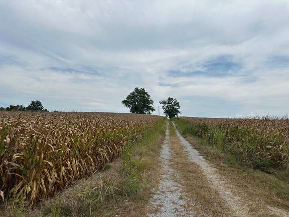 102.3 Acres of Agricultural Land for Sale in Columbia, Kentucky