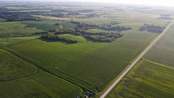 154.59 Acres of Agricultural Land for Sale in Pine Island, Minnesota