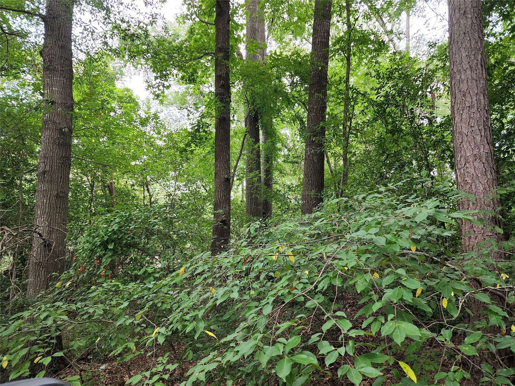 0.24 Acres of Land for Sale in Quitman, Texas