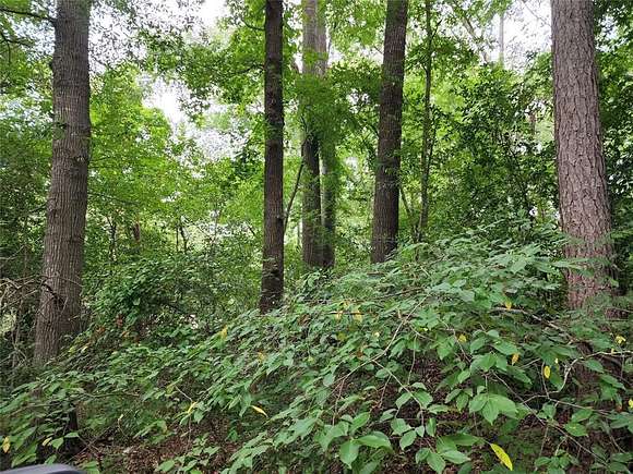 0.242 Acres of Land for Sale in Quitman, Texas