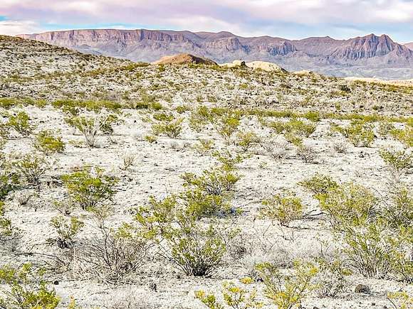 10 Acres of Land for Sale in Terlingua, Texas