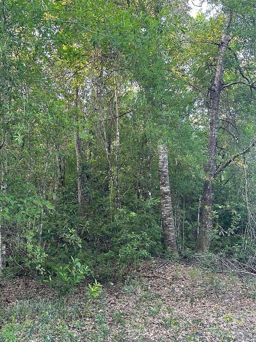 5 Acres of Land for Sale in Clermont, Florida