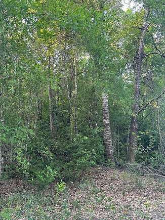 5 Acres of Land for Sale in Clermont, Florida