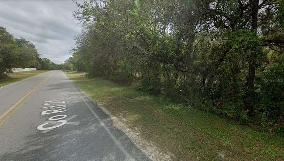 22.44 Acres of Agricultural Land for Sale in Hawthorne, Florida