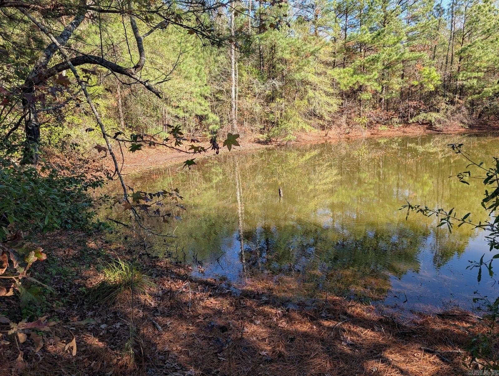 63 Acres of Recreational Land for Sale in White Hall, Arkansas