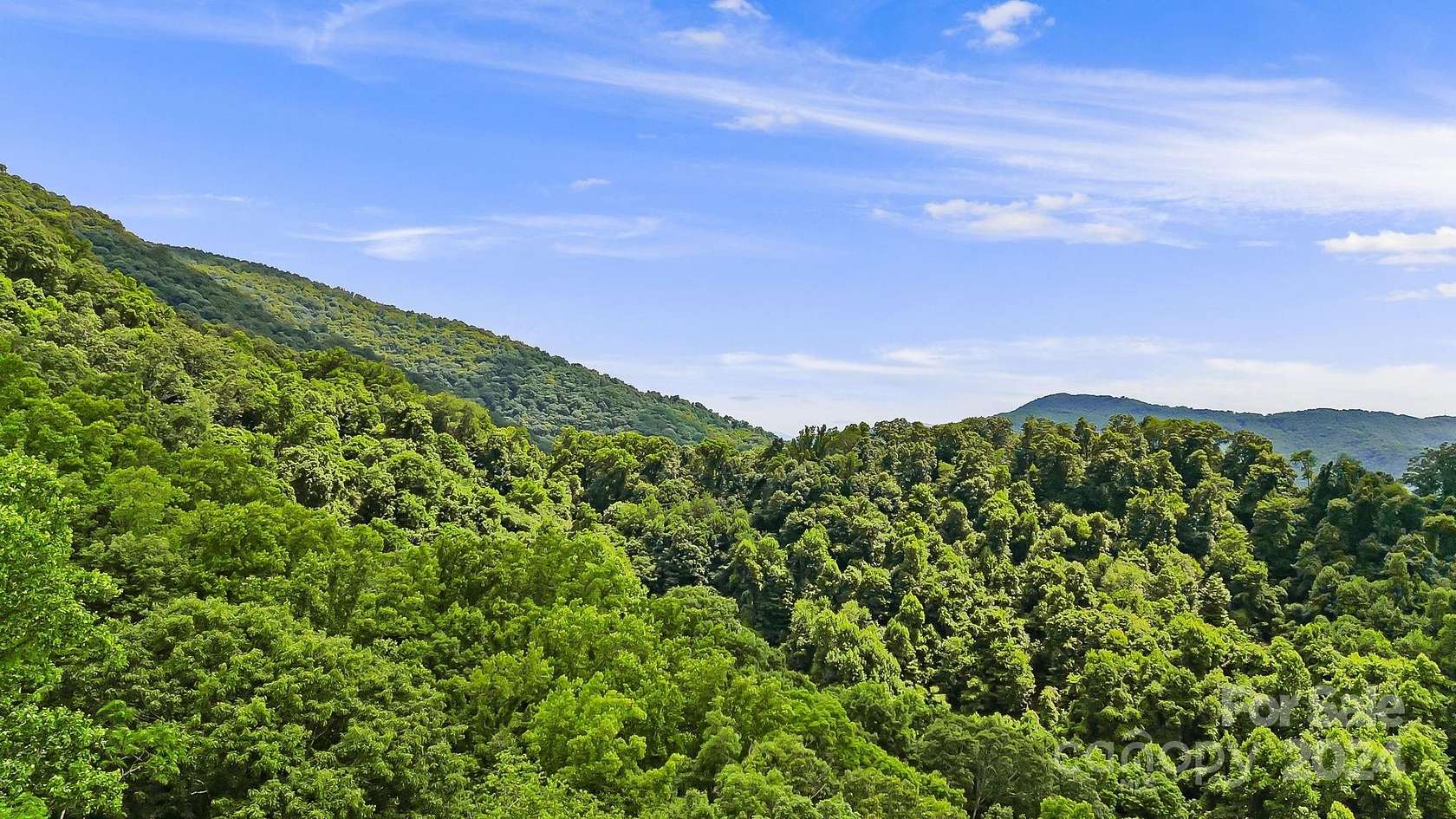 19.5 Acres of Land for Sale in Weaverville, North Carolina