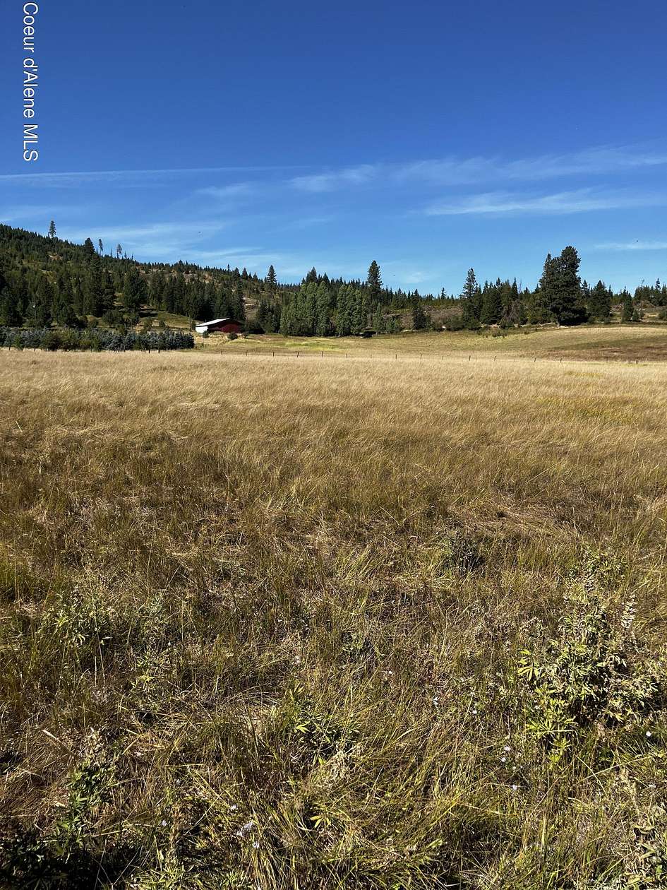 10 Acres of Agricultural Land for Sale in St. Maries, Idaho