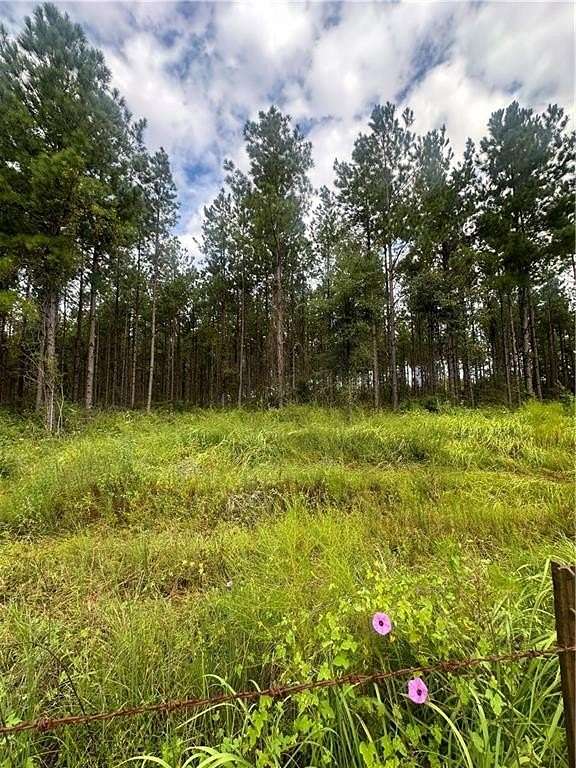 29.3 Acres of Agricultural Land for Sale in Chunchula, Alabama