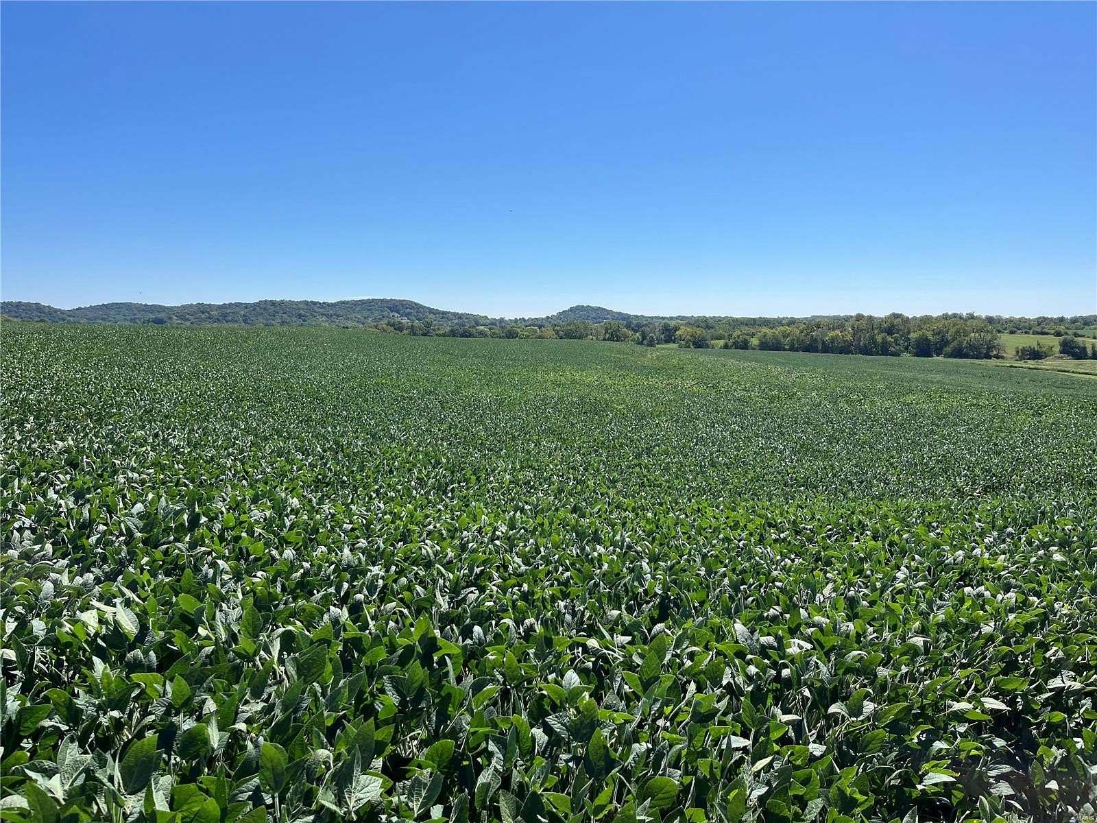 20 Acres of Agricultural Land for Sale in Louisiana, Missouri