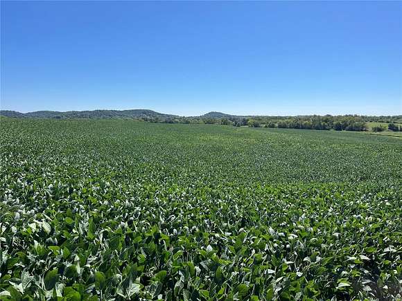 20 Acres of Agricultural Land for Sale in Louisiana, Missouri