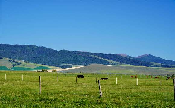 50 Acres of Agricultural Land for Sale in Stevensville, Montana