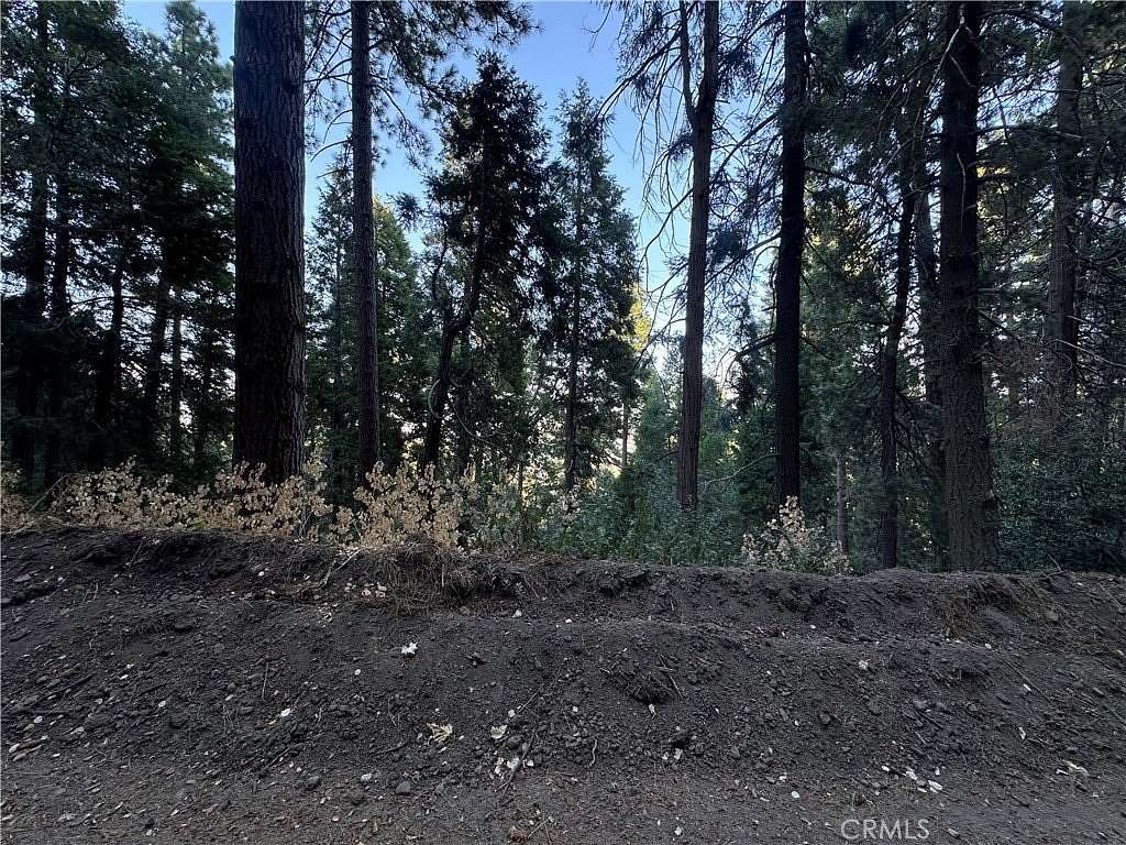 0.057 Acres of Land for Sale in Cedarpines Park, California