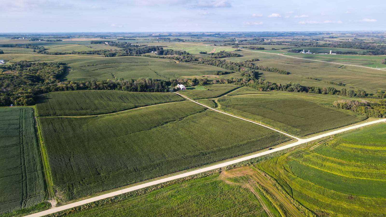 196 Acres of Agricultural Land for Sale in Wanamingo, Minnesota