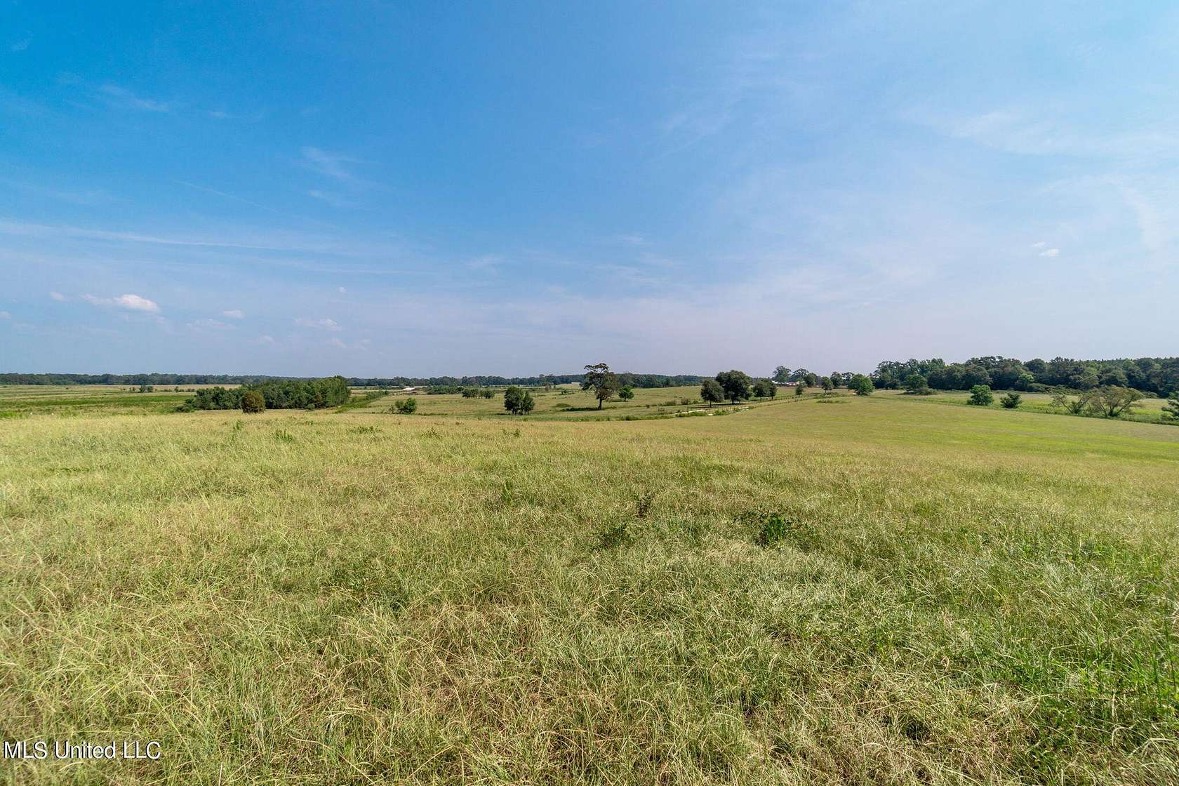 44 Acres of Agricultural Land for Sale in Poplarville, Mississippi