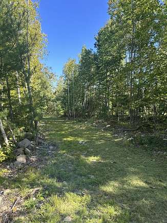 36 Acres of Land for Sale in Eddington, Maine