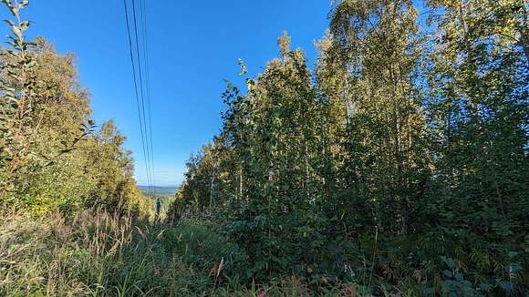 60.819 Acres of Agricultural Land for Sale in Fairbanks, Alaska