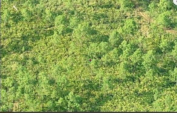 1.3 Acres of Residential Land for Sale in Orlando, Florida